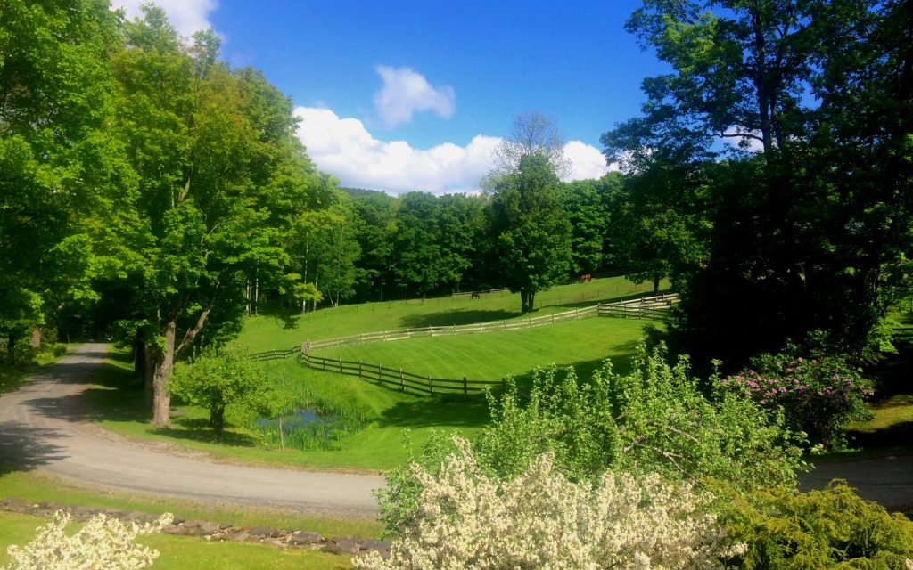 Birch Hill Farm Woodstock, Vermont